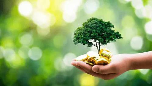 تجربه شیرین شروع یک کسب و کار پولساز